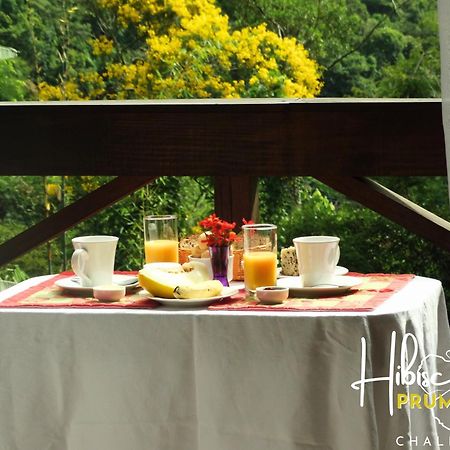 Hibiscus Prumirim Chales 乌巴图巴 外观 照片